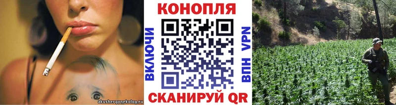 Наркошоп купить ГАШ  Амфетамин  Мефедрон  Канабис  COCAIN  СОЛЬ  Нытва