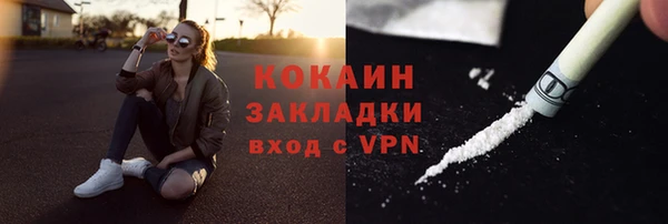 СК Гусев