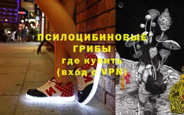 Альфа ПВП Дмитриев