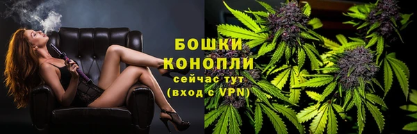 СК Гусев