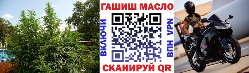Купить где  Нытва  ТГК гашишное масло 